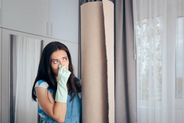 Mold Odor Removal Services in Bishop, CA